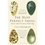 THE MOST PERFECT THING. INSIDE (AND OUTSIDE) A BIRD'S EGG