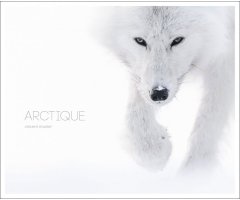 ARCTIQUE