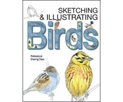 SKETCHING & ILLUSTRATING BIRDS. PROFESSIONAL DRAWING CLASS