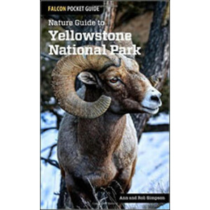 NATURE GUIDE TO YELLOWSTONE NATIONAL PARK
