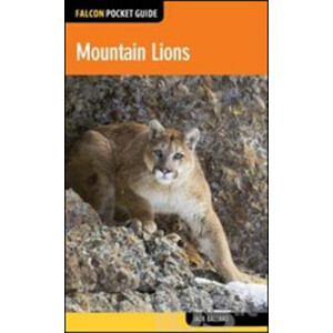 FALCON POCKET GUIDE. MOUNTAIN LIONS