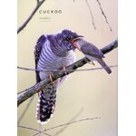 BIRDS: MYTH, LORE AND LEGEND_1