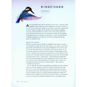 BIRDS: MYTH, LORE AND LEGEND 3