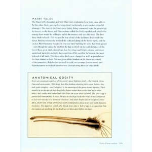 BIRDS: MYTH, LORE AND LEGEND 4