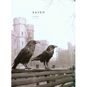 BIRDS: MYTH, LORE AND LEGEND 6