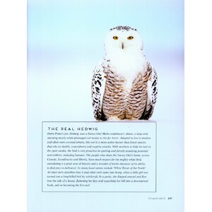 BIRDS: MYTH, LORE AND LEGEND 7