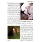 BIRDS NEW TO SCIENCE: 50 YEARS OF AVIAN DISCOVERIES_1