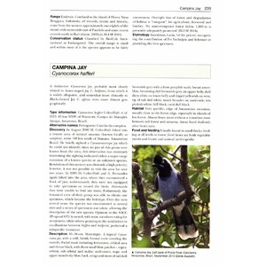 BIRDS NEW TO SCIENCE: 50 YEARS OF AVIAN DISCOVERIES 4