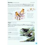 FIELD GUIDE TO THE BIRDS OF BRITAIN AND IRELAND 4