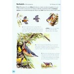 FIELD GUIDE TO THE BIRDS OF BRITAIN AND IRELAND 5