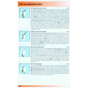 HELM FIELD GUIDES. BIRDS OF MADAGASCAR AND THE INDIAN OCEAN ISLANDS 3