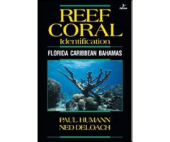REEF CORAL IDENTIFICATION. FLORIDA, CARIBBEAN, BAHAMAS