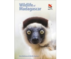WILDLIFE OF MADAGASCAR
