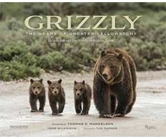 GRIZZLY. THE BEARS OF GREATER YELLOWSTONE