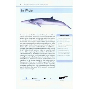 MARK CARWARDINE'S GUIDE TO WHALE WATCHING IN BRITAIN AND EUROPE 3