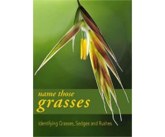NAME THOSE GRASSES: IDENTIFYING GRASSES, SEDGES AND RUSHES
