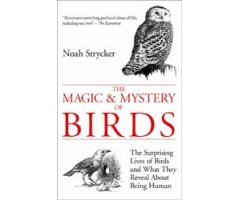 THE MAGIC & MYSTERY OF BIRDS: THE SURPRISING LIVES OF BIRDS AND WHAT THEY REVEAL ABOUT BEING HUMAN 