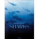 SHARKS. FACE-TO-FACE WITH THE OCEAN'S ENDANGERED PREDATOR