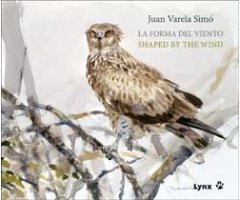 LA FORMA DEL VIENTO