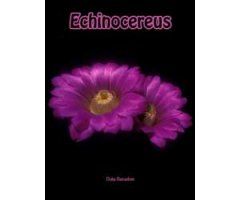 ECHINOCEREUS 2