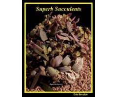SUPERB SUCCULENTS: A SELECTION (PREDOMINANTLY) OF WINNING PLANTS FROM SUCCULENT SHOWS THAT HAVE BEEN POTTED AND STAGED FOR PERFECTION