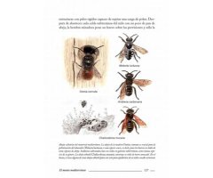 EL MONTE MEDITERRÁNEO. UNA GUÍA PARA NATURALISTAS 3