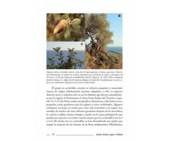 EL MONTE MEDITERRÁNEO. UNA GUÍA PARA NATURALISTAS 4