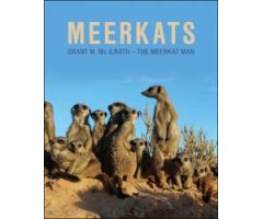 MEERKATS