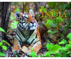 INDIA. LAND OF TIGERS AND TEMPLES