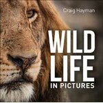 WILDLIFE IN PICTURES