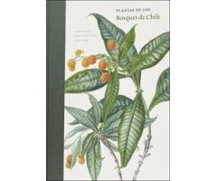 PLANTAS DE LOS BOSQUES DE CHILE  