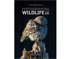 PHOTOGRAPHING WILDLIFE IN THE UK: WHERE AND HOW TO TAKE GREAT WILDLIFE PHOTOGRAPHS