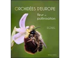 ORCHIDÉES D'EUROPE FLEUR ET POLLINISATION 2