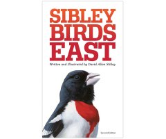 SIBLEY BIRDS EAST. FIELD GUIDE TO BIRDS OF EASTERN NORTH AMERICA