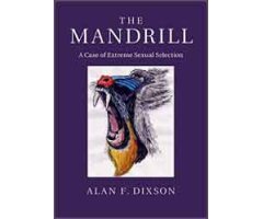 THE MANDRILL. A CASE OF EXTREME SEXUAL SELECTION