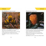 REED CONCISE GUIDE. WILDFLOWERS OF AUSTRALIA 2
