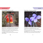 REED CONCISE GUIDE. WILDFLOWERS OF AUSTRALIA 3