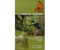 FROM WETA TO KAURI. A GUIDE TO THE NEW ZEALAND FOREST 