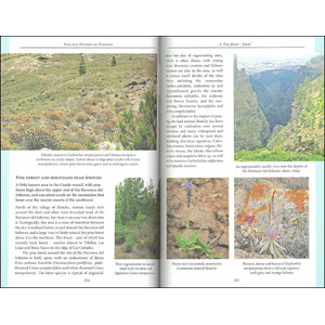 NATURAL HISTORY OF TENERIFE 3