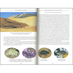 NATURAL HISTORY OF TENERIFE 4