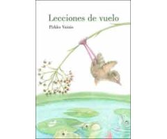 LECCIONES DE VUELO