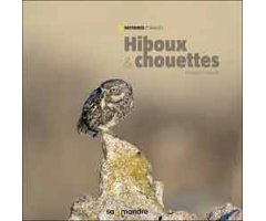 HIBOUX ET CHOUETTES