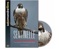 DVD SENTINELLE. LE DESTIN DU FAUCON PÈLERIN 2