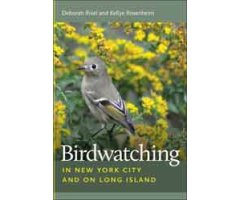 BIRDWATCHING IN NEW YORK CITY AND ON LONG ISLAND