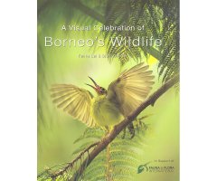  A VISUAL CELEBRATION OF BORNEO\'S WILDLIFE 
