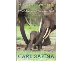 BEYOND WORDS. WHAT ANIMALS THINK AND FEEL                                                                                                             