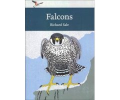 FALCONS