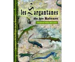 LES SARGANTANES DE LES BALEARS