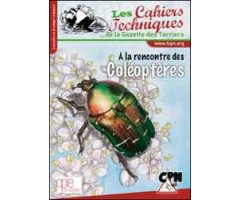 À LA RENCONTRE DES COLÉOPTÈRES 2