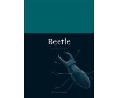 BEETLE     
